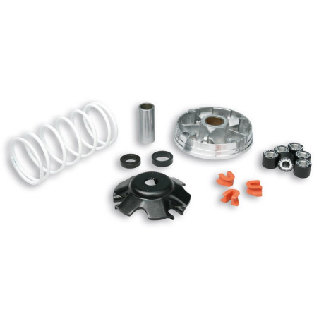 Variador Multivar Malossi PIAGGIO 50CC 2T&4T ZIP/FLY/LIBERTY 50 4T 51 9019