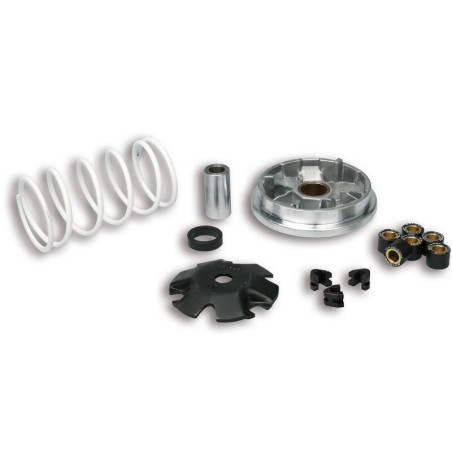 Variador Multivar Malossi PGT. LUDIX/JETFORCE SPEEDFIGHT/VIVACITY/BUXY 51 8752