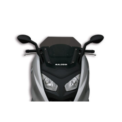 Pantalla MALOSSI Ahumada SPORT BMW C600 4515571B