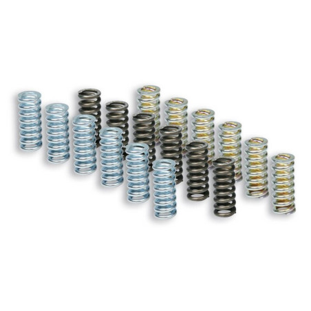 Kit de muelles de embrague MALOSSI Racing para embrague original