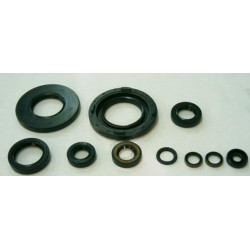 Kit retenes aceite de motor TOURMAX - XT/SR500 76-95