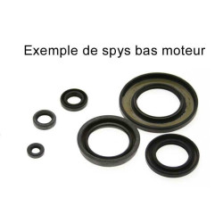Kit de retenes de motor CENTAURO