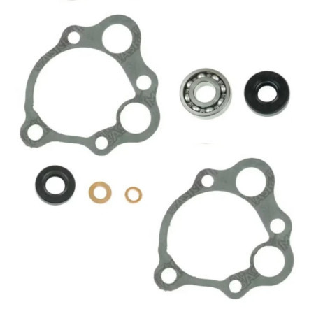 Kit reparación bomba de agua Centauro CR250 85-91 666A005WP