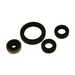 Kit de retenes de motor CENTAURO