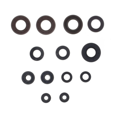 Kit de retenes de motor CENTAURO
