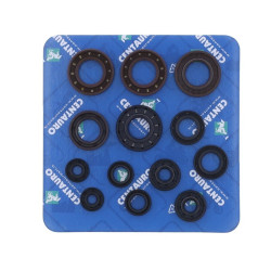 Kit de retenes de motor CENTAURO 2