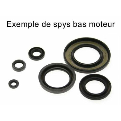 Kit de retenes de motor CENTAURO