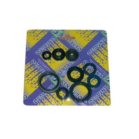 Kit de retenes de motor CENTAURO