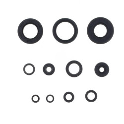 Kit de retenes de motor CENTAURO