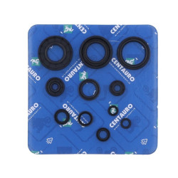 Kit de retenes de motor CENTAURO 2