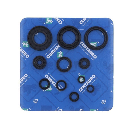 Kit de retenes de motor CENTAURO