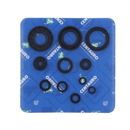 Kit de retenes de motor CENTAURO