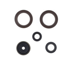 Kit de retenes de motor CENTAURO