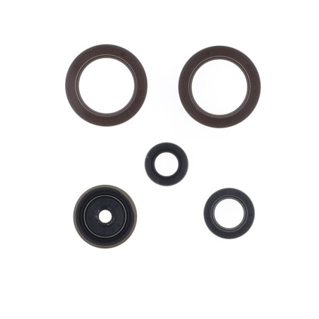 Kit de retenes de motor CENTAURO