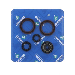 Kit de retenes de motor CENTAURO 2