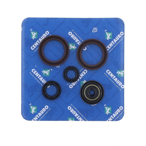 Kit de retenes de motor CENTAURO