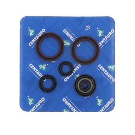 Kit de retenes de motor CENTAURO