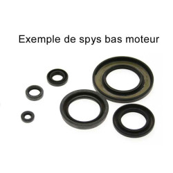 Kit de retenes de motor CENTAURO