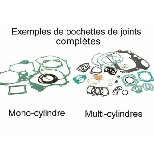 Kit completo de juntas CENTAURO