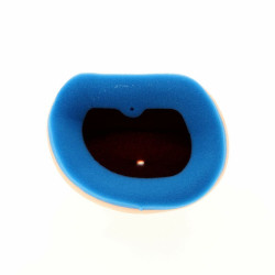 Filtro de aire TECNIUM - 5342 2