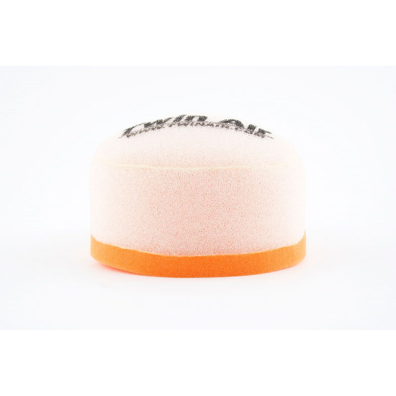 Filtro de aire TWIN AIR - 153403