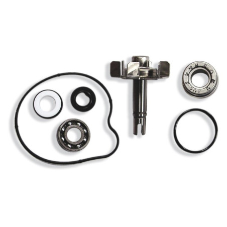 Set repara eje bomba de agua V PARTS
