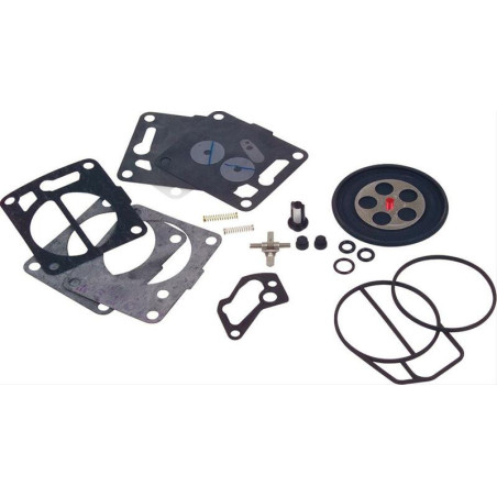 Kit de reparación carburador Mikuni BN38/44 SPR