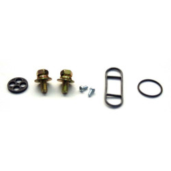 Kit reparación grifo de gasolina TOURMAX - KLX650 KDX FCK-19
