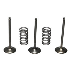 Kit de válvula acero y muelle Prox admisión Yamaha 28.SIS2424-2