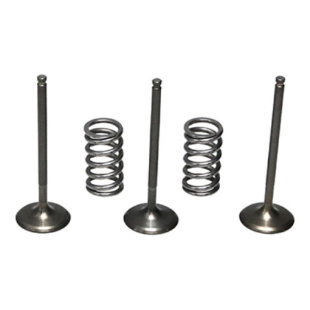 Kit de válvula acero y muelle Prox admisión Yamaha 28.SIS2424-2