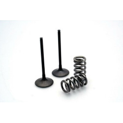 Kit de válvula acero y muelle Prox admisión KTM 28.SIS6327-2