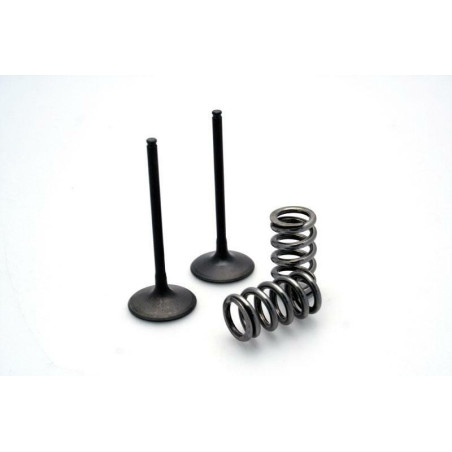Kit de válvula acero y muelle Prox escape KTM 28.SES6353-1