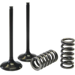 Kit de válvula acero y muelle Prox escape Suzuki 28.SES3338-1