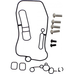 Kit juntas tóricas FCR + tornillos Torx de carburador TOURMAX