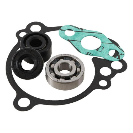 Kit reparación bomba de agua Hot Rods WPK0030