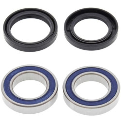 Kit rodamientos de rueda ALL BALLS 25-1570