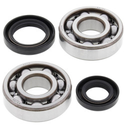 Kit rodamientos y retenes de cigüeñal All Balls 24-1075