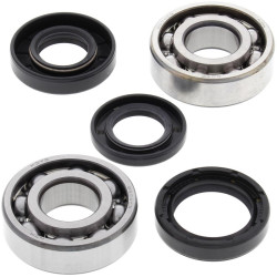 Kit rodamientos y retenes de cigüeñal All Balls 24-1022