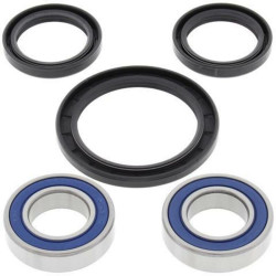Kit rodamientos de rueda All Balls 25-1584