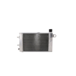 Radiador Bihr TUONO 02-05 2