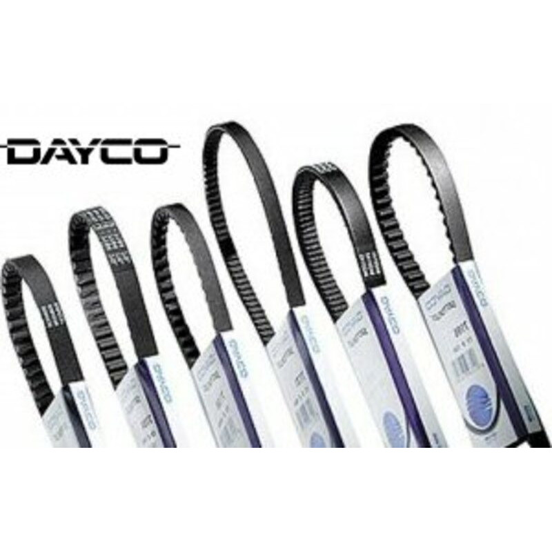 Correa de transmision DAYCO standard