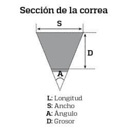 Correa de dentado simple MITSUBOSHI 2