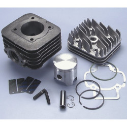 Kit Polini PIAGGIO SFERA-ZIP-FREE 50 D.47 (1400181)