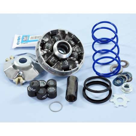 Variador Polini Hi-Speed EVO Yamaha D16-12,5º 241.748