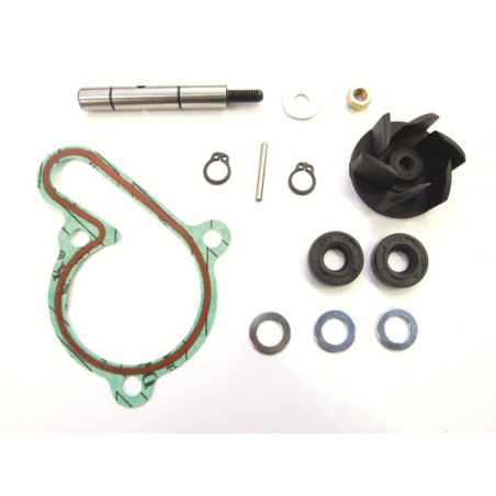 Kit reparación bomba de agua TOP PERFORMANCES motor Derbi Euro3