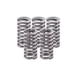 Kit de muelles de embrague TOP PERFORMANCES reforzados