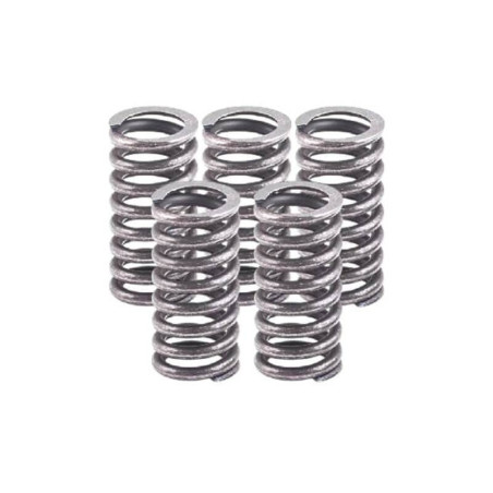 Kit de muelles de embrague TOP PERFORMANCES reforzados