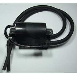 Bobina de encendido TOURMAX - Suzuki DL650 V-Strom