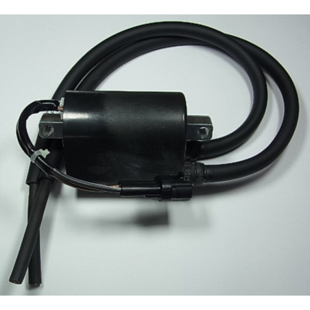 Bobina de encendido TOURMAX - Suzuki DL650 V-Strom