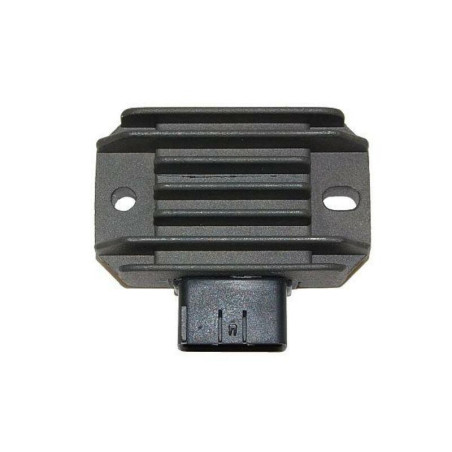 Regulador ELECTROSPORT